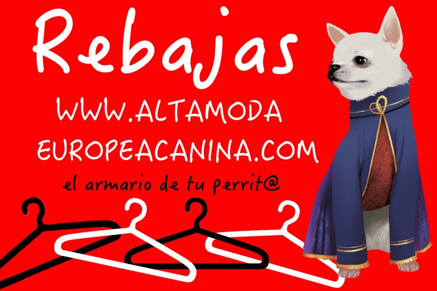 Ropa para Perros en rebajas