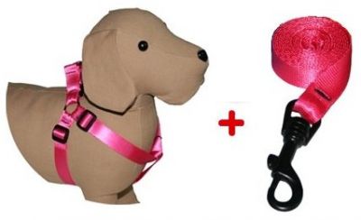 Conjunto arn�s de pecho y correa