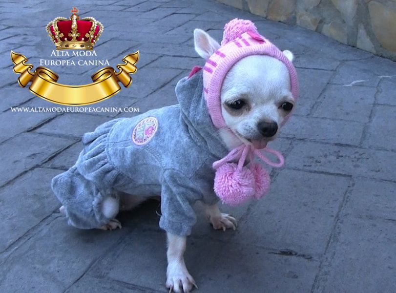 Ropa para Perros. Alta Moda Europea Canina