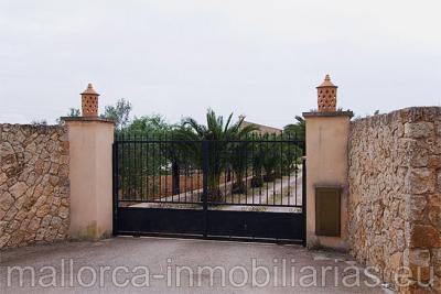 Finca r�stica con casa nueva se vende
