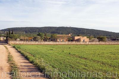 Finca r�stica con casa se vende