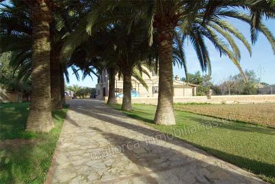 Finca r�stica con casa grande en venta