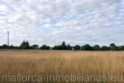 Finca r�stica para construir una casa en venta