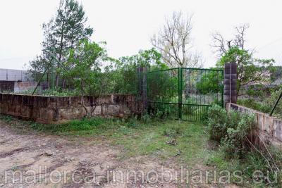 Finca r�stica con casa para reformar en venta