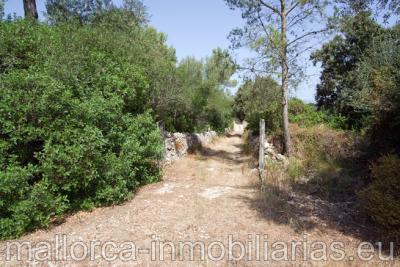 Finca r�stica arboleda en venta