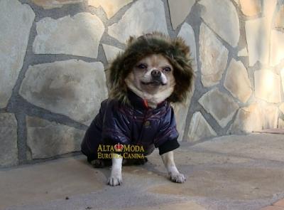 Arneses para perros, ropa de invierno para perros