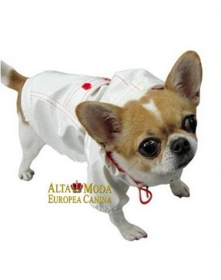 Ropa para perros temporada oto�o invierno