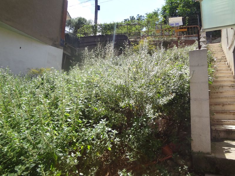 Disponible parcela de 439 m2 de superficie, lista para construir una vivienda