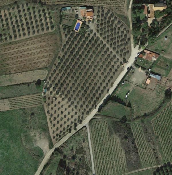 Magn�fico chalet que cuenta con una superficie de 286 m2 y 20.000 m2 de terreno 