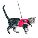 Arn�s para gatos con correa Trixie Soft