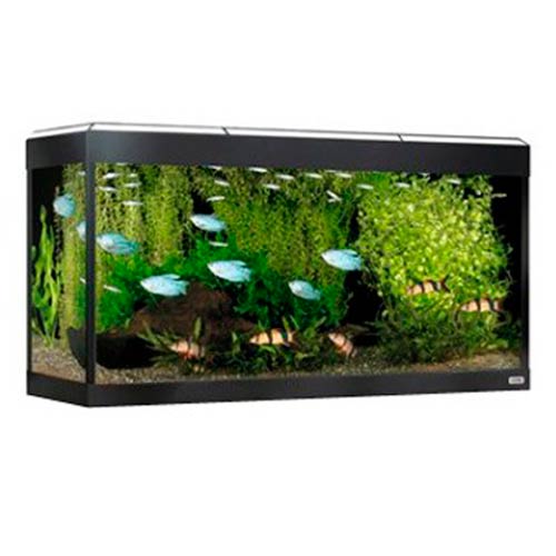 Acuario de cristal Fluval Roma negro