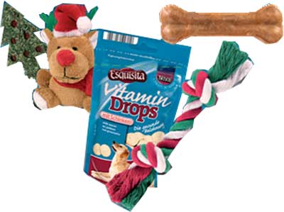 Regalo de Navidad para perros