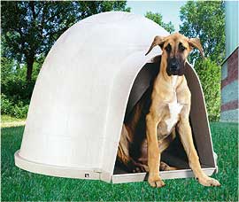 Pack Caseta para perros gigantes Dogloo
