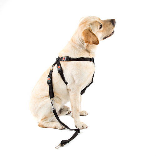 Technical Pet Adaptador para cintur�n de seguridad